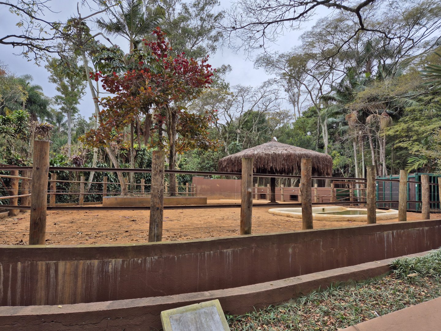 Hippo exhibit