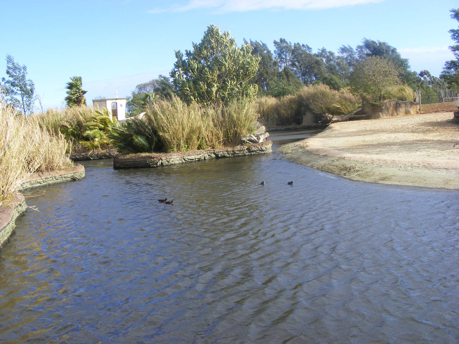 Hippo Family Dam - July, 2009