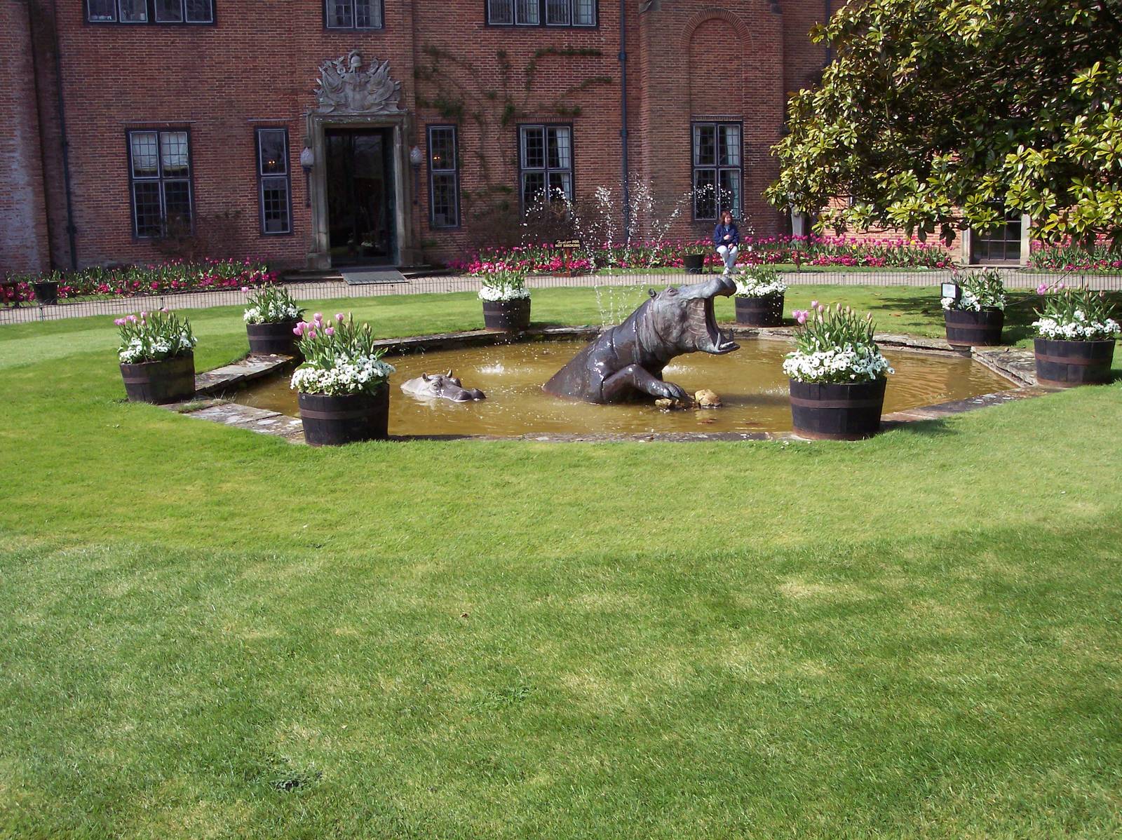 Hippo fountain