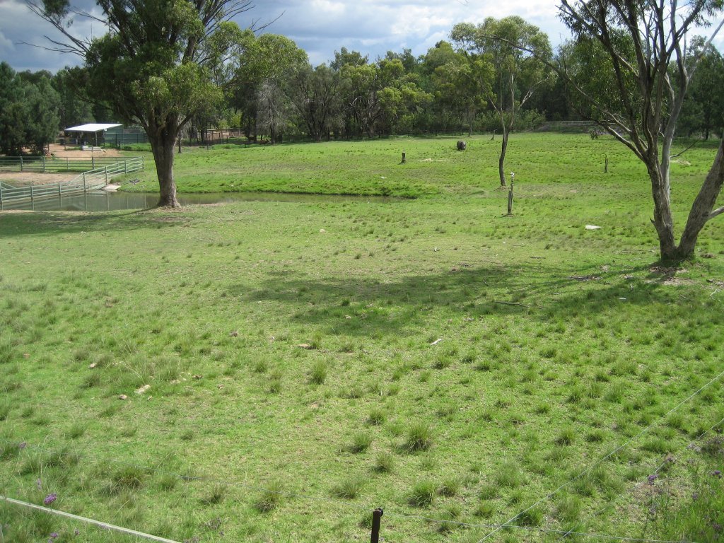 Hippo grazing enclosure - 2007