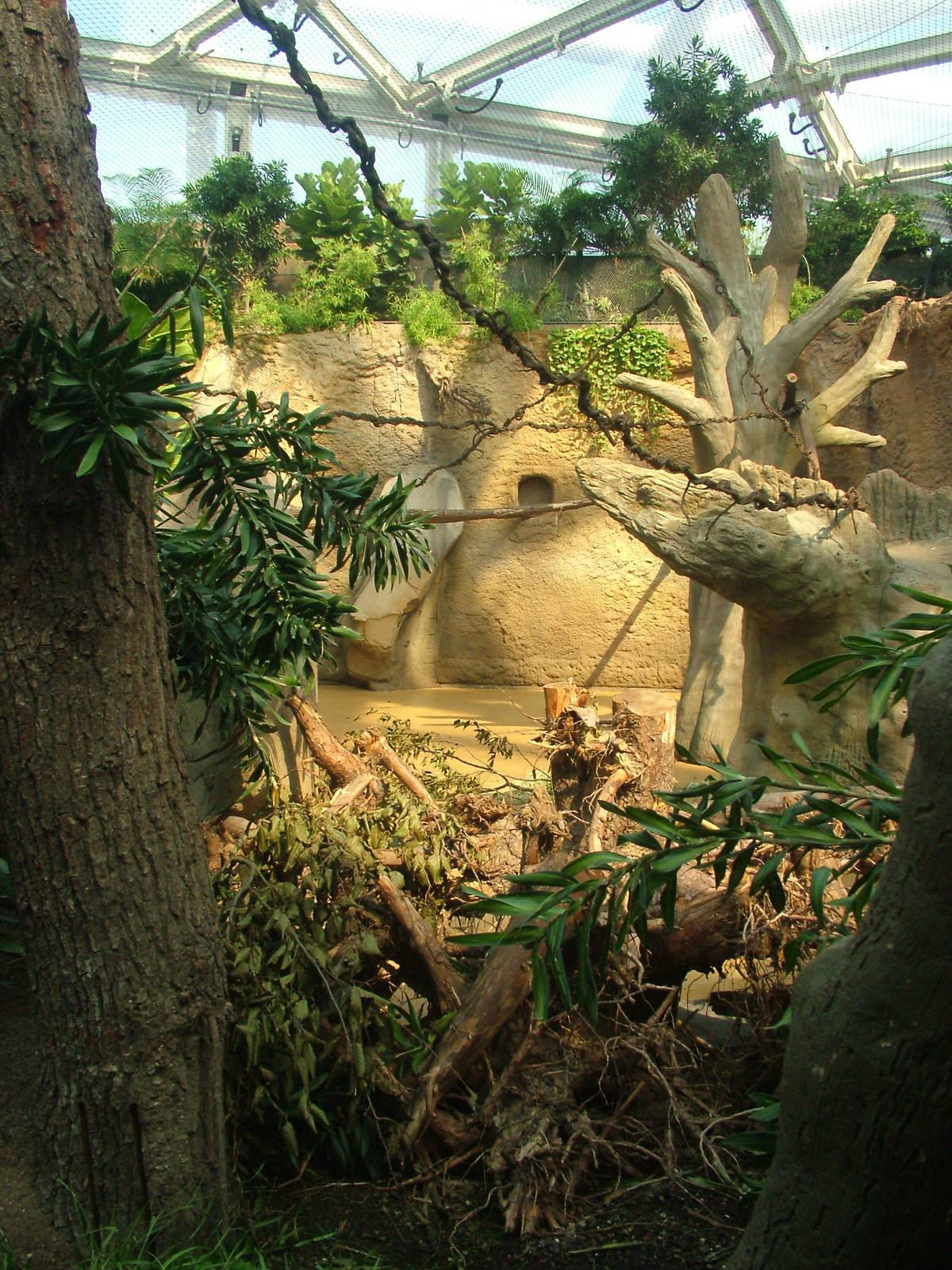 Hippo/Guenon Exhibit - Gondwanaland, Leipzig, 02/09/11
