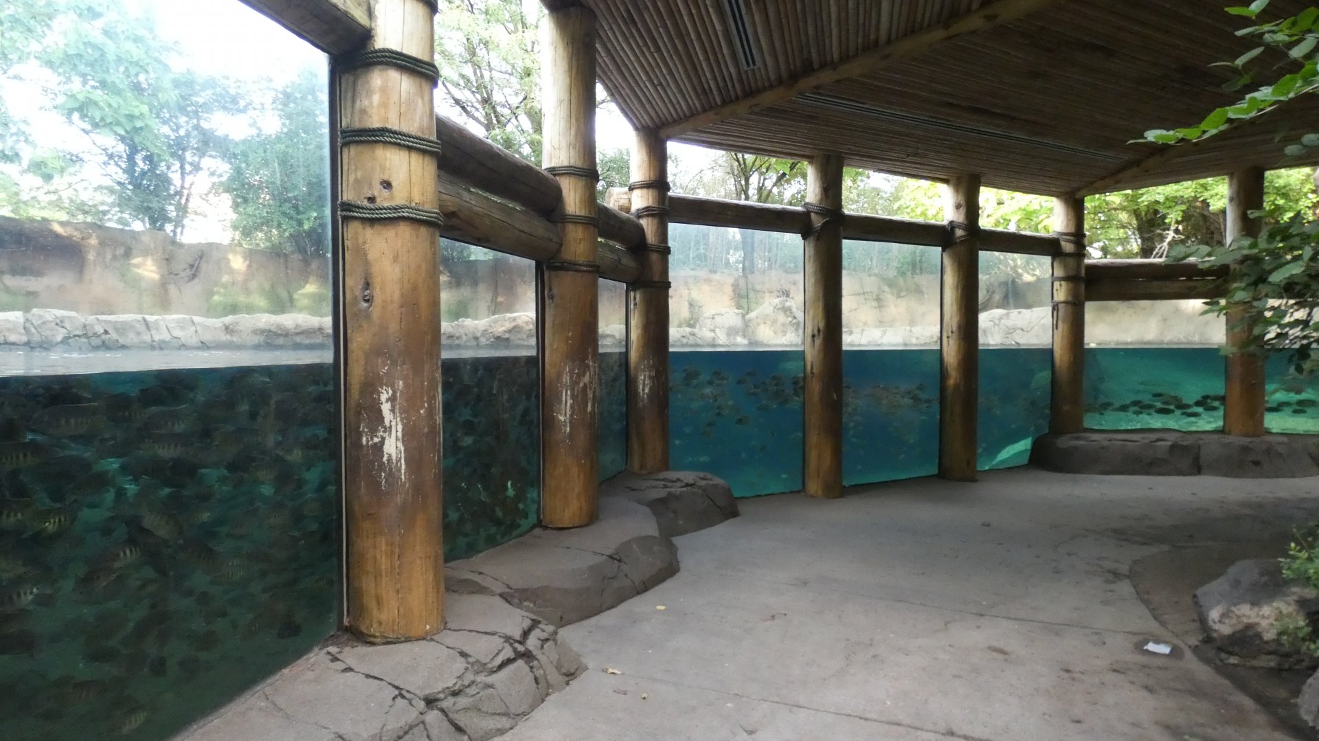 Hippo Harbor, Africa, River's Edge - Sep. 2021