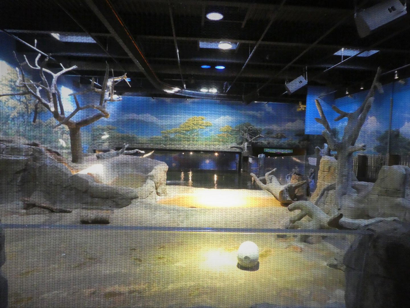 Hippo Haven - Main Exhibit