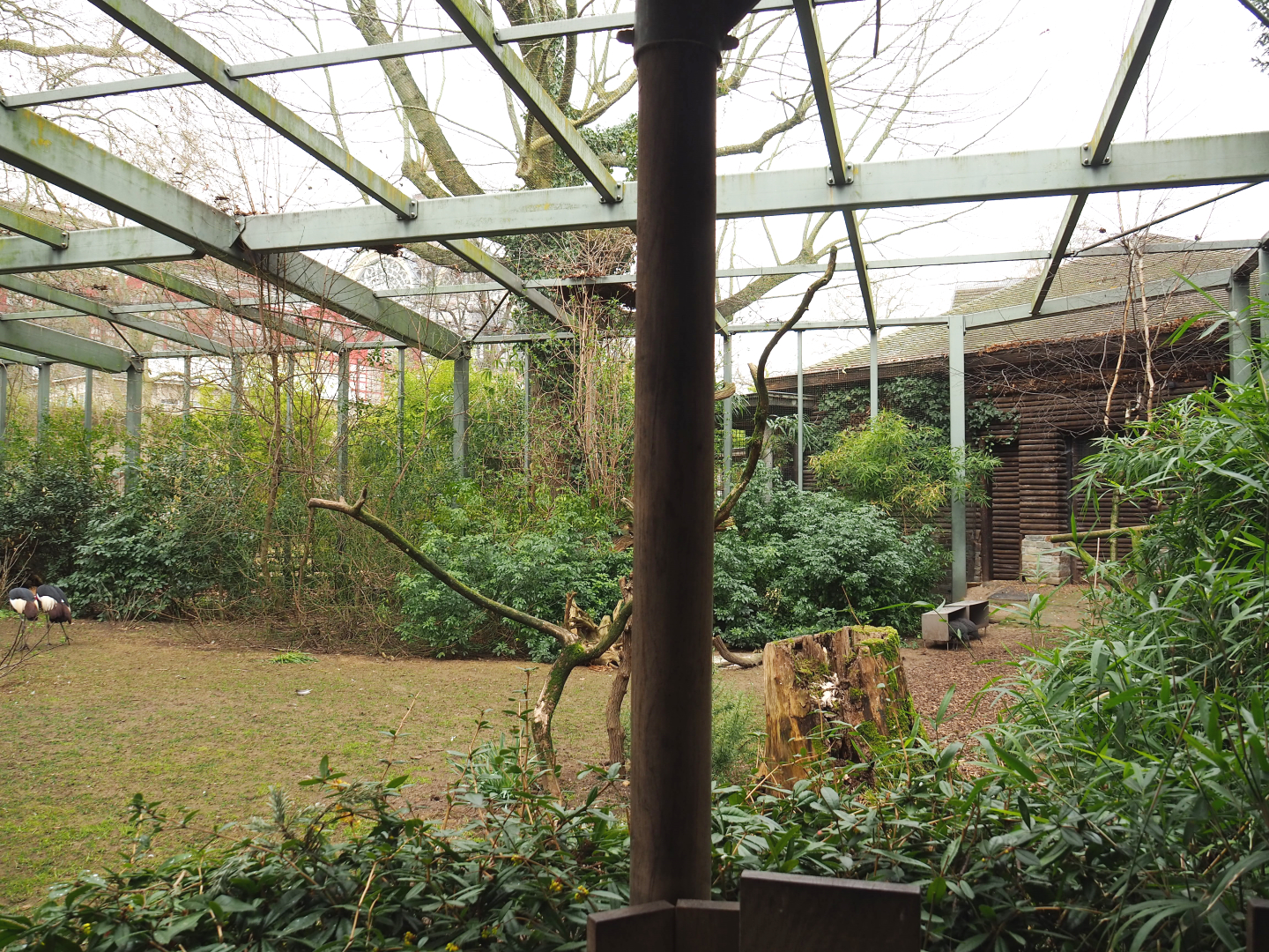 Hippo house aviary, 2022-03-16