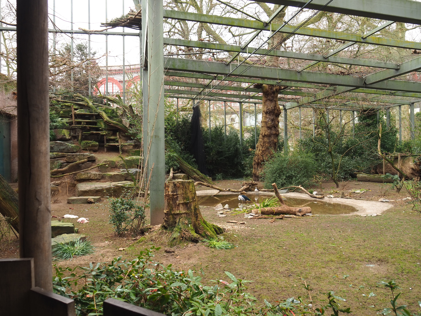 Hippo house aviary, 2022-03-16