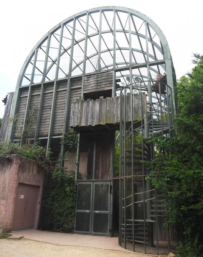 Hippo house aviary, 2022-05-26
