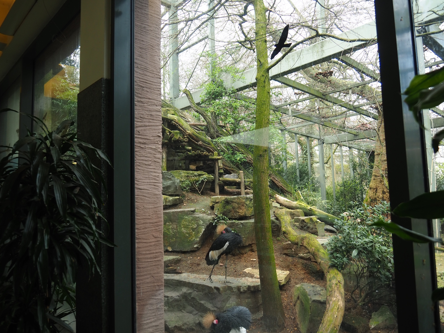 Hippo house aviary, 2023-04-08