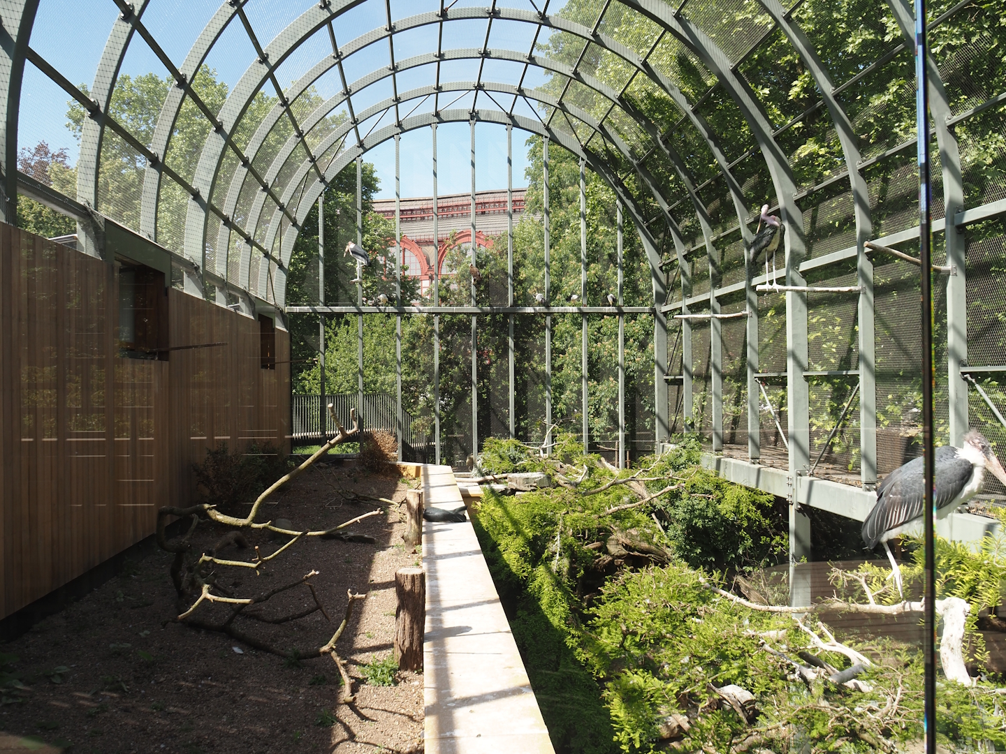 Hippo house aviary, 2025-05-14