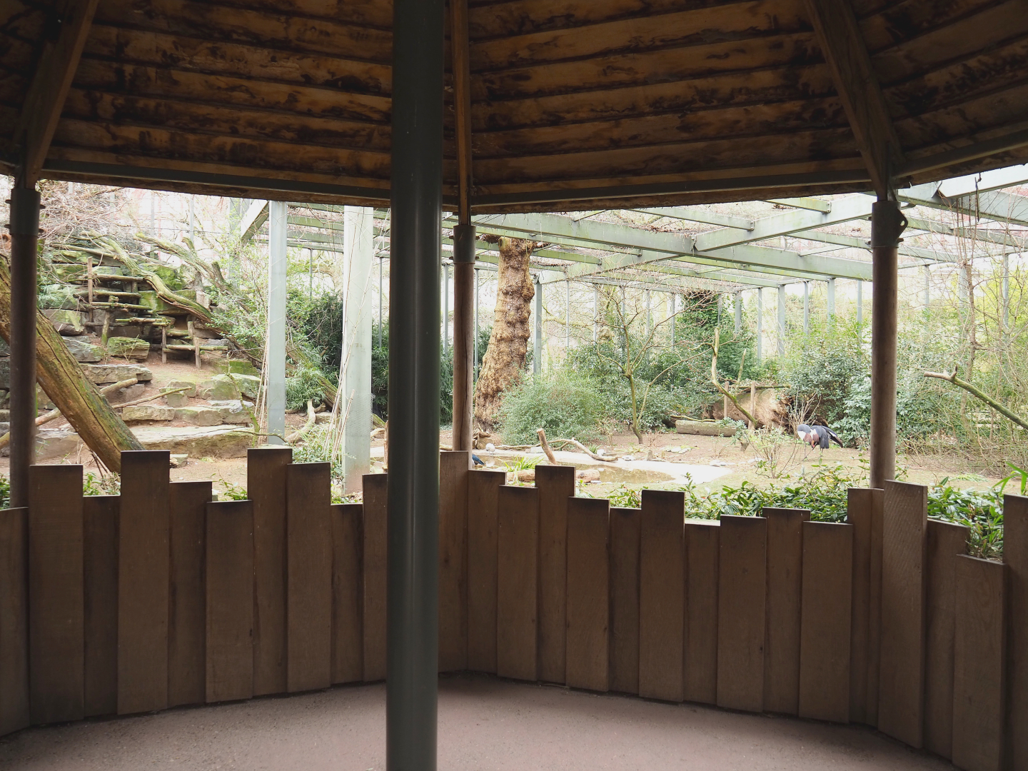 Hippo house aviary - Ground level viewing hut, 2022-03-16