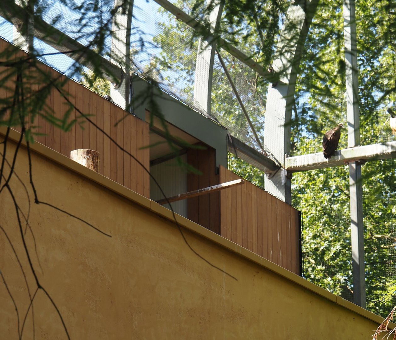 Hippo house aviary - Renovated nesting area on the roof of the hippo house, 2024-07-28