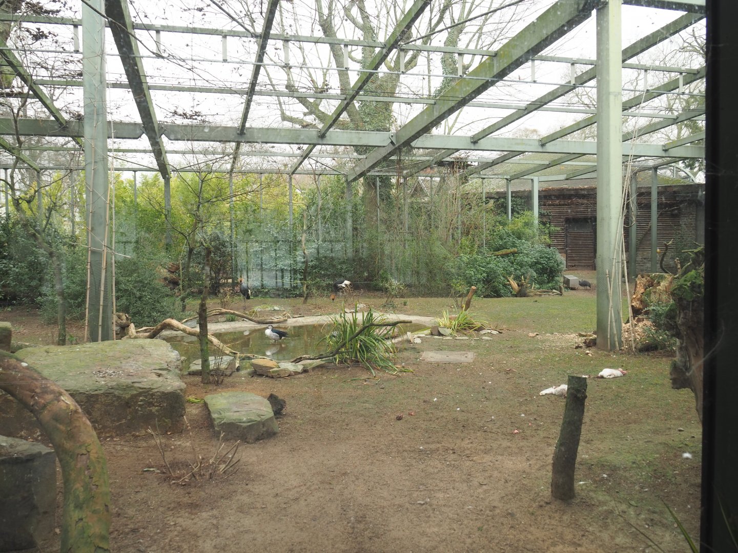 Hippo house aviary - Seen from inside the hippo house, 2022-03-16