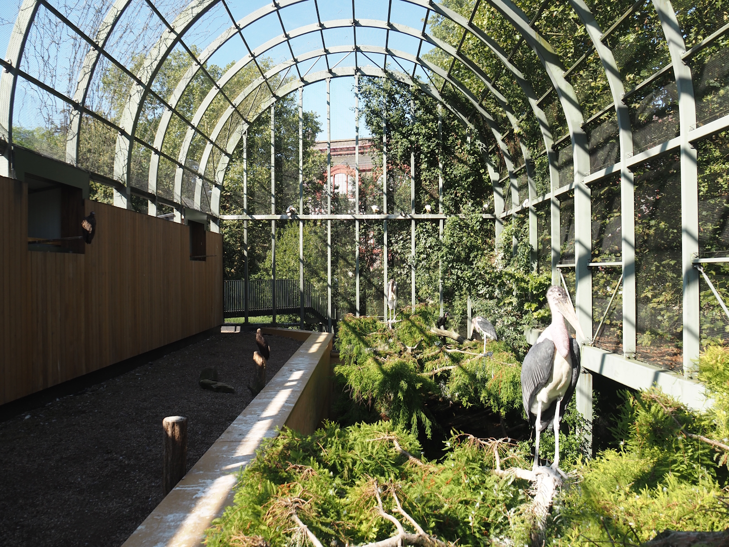 Hippo house aviary, seen from new partially opened upper viewing area, 2024-08-28