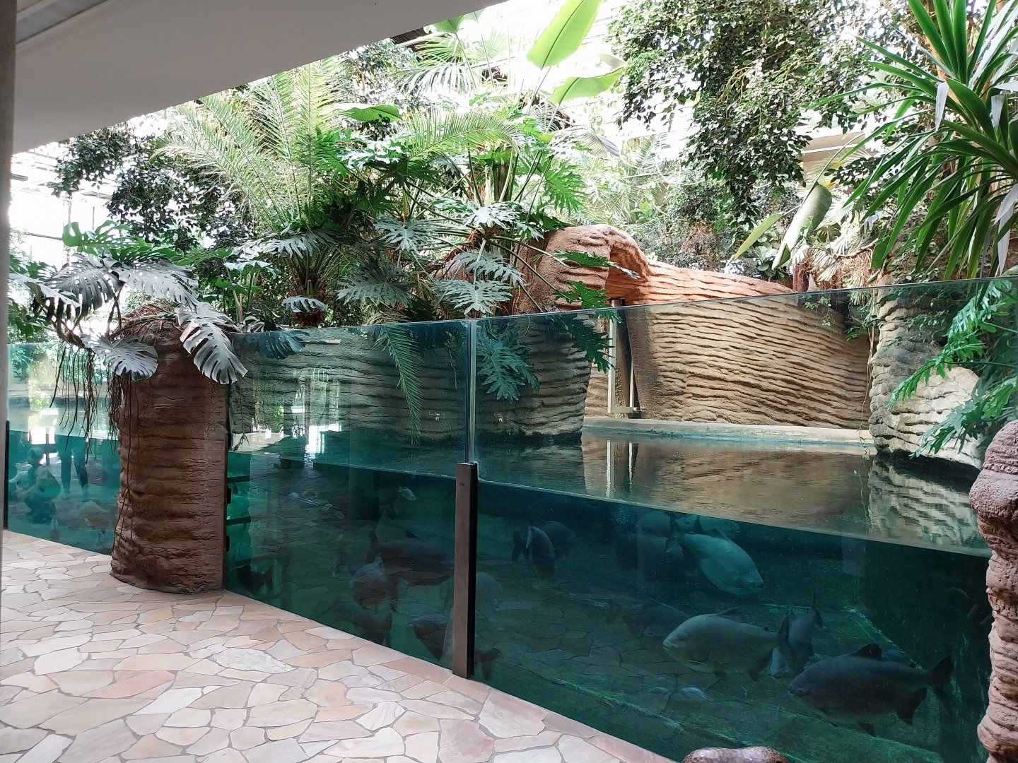 Hippo House - Common Hippo