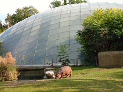Hippo house exterior