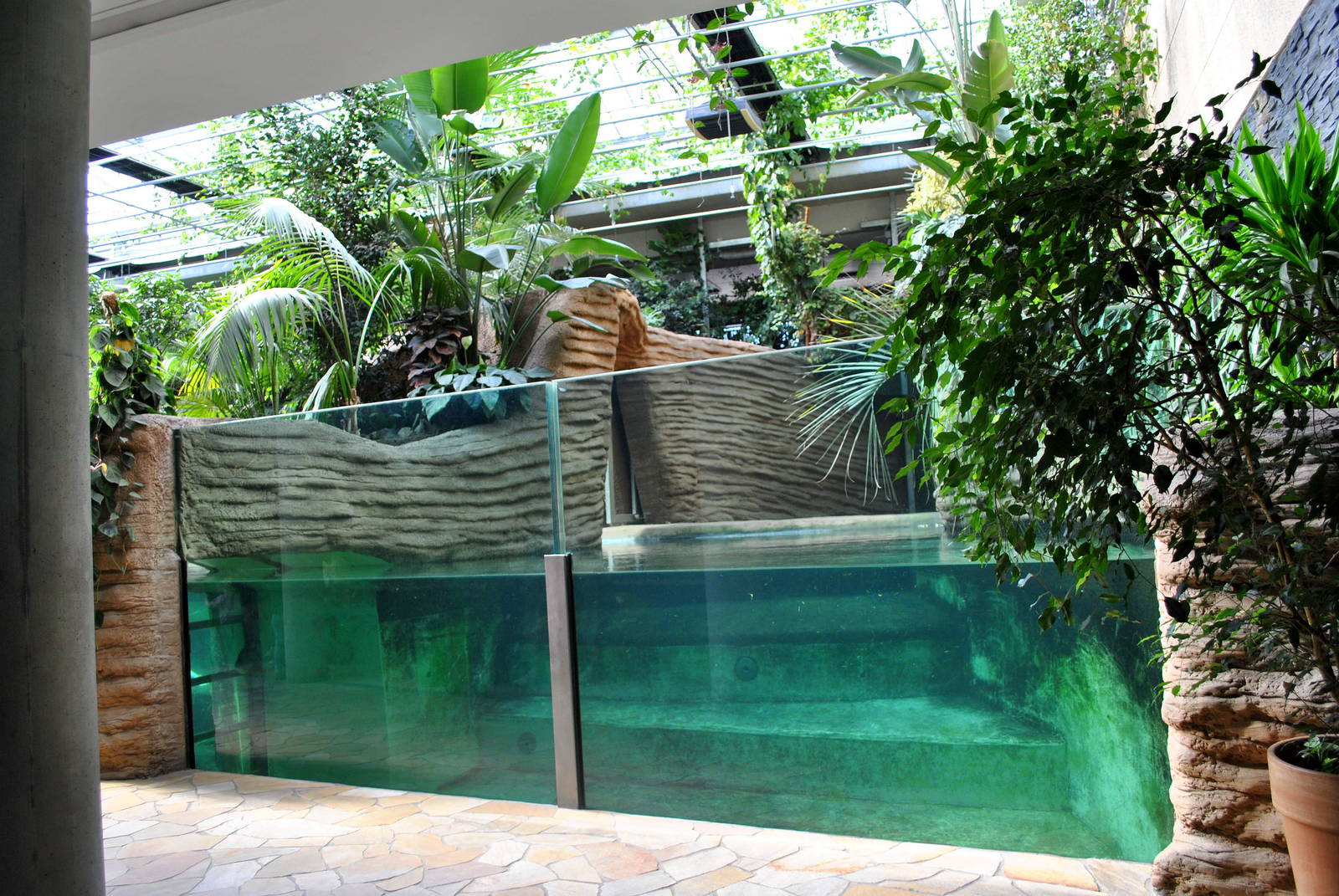 Hippo House -indoor pool