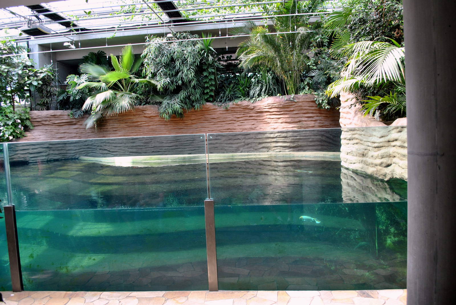 Hippo House-indoor pool