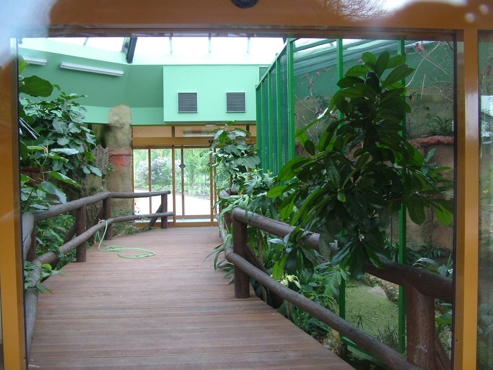 Hippo House interior at Plzen, 25/05/10