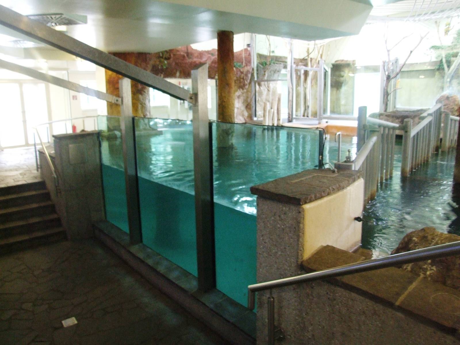 Hippo House Interior at Vienna, 14/06/13