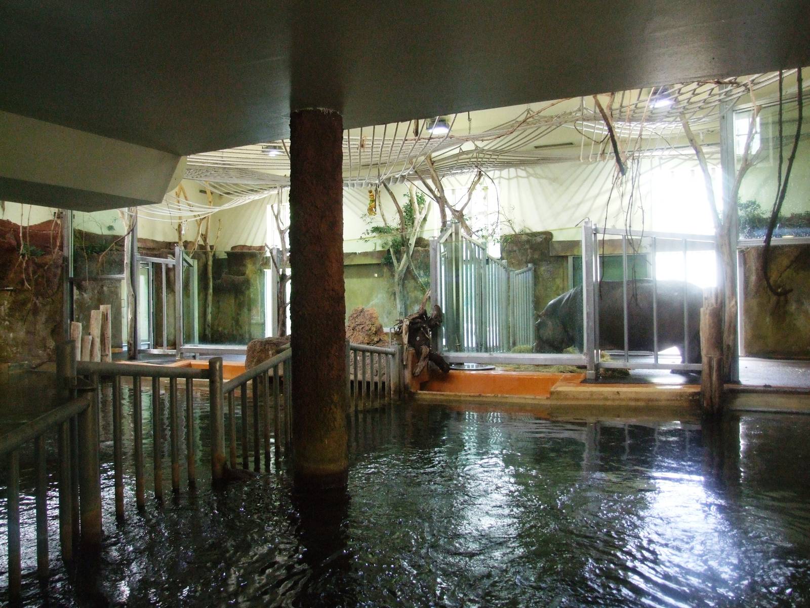 Hippo House Interior at Vienna, 16/06/13