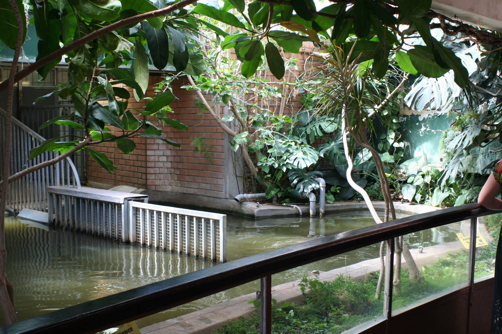 Hippo House interior @ Bristol; 23.07.2011