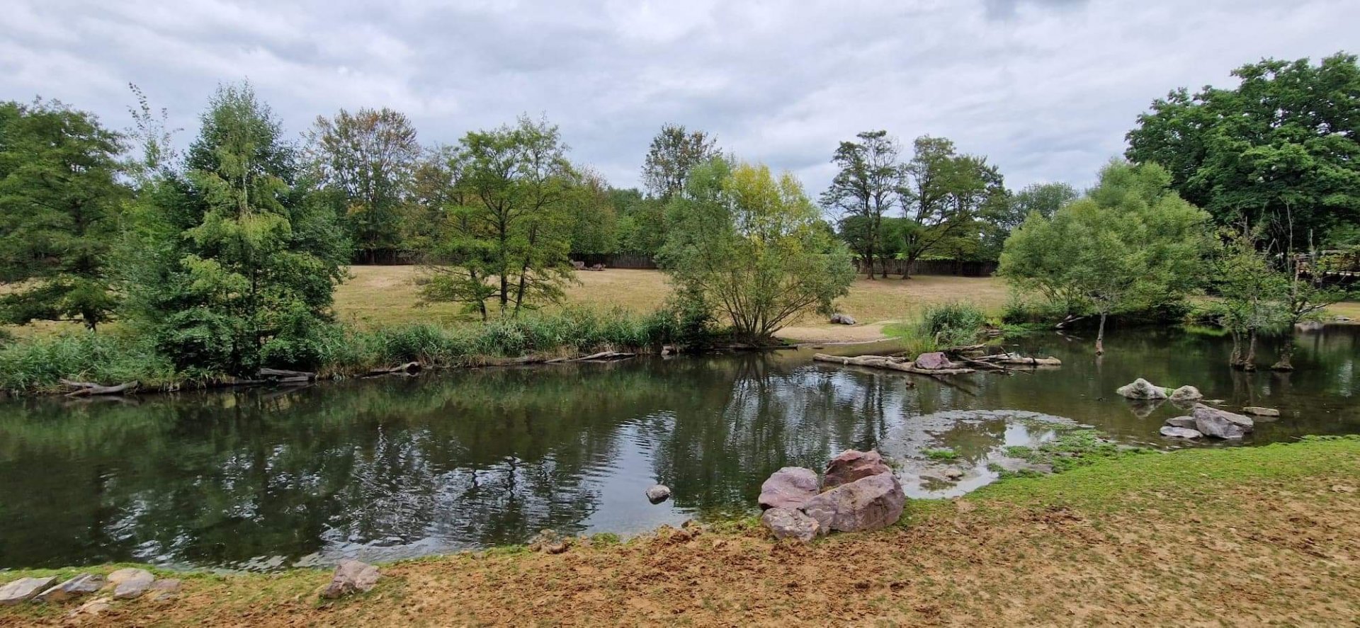 Hippo/Impala/Waterbuck/Nyala exhibit