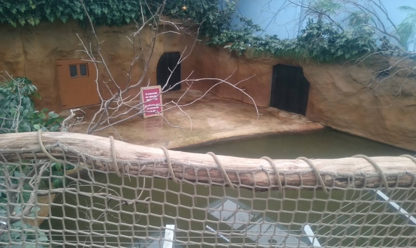 Hippo indoor enclosure from above