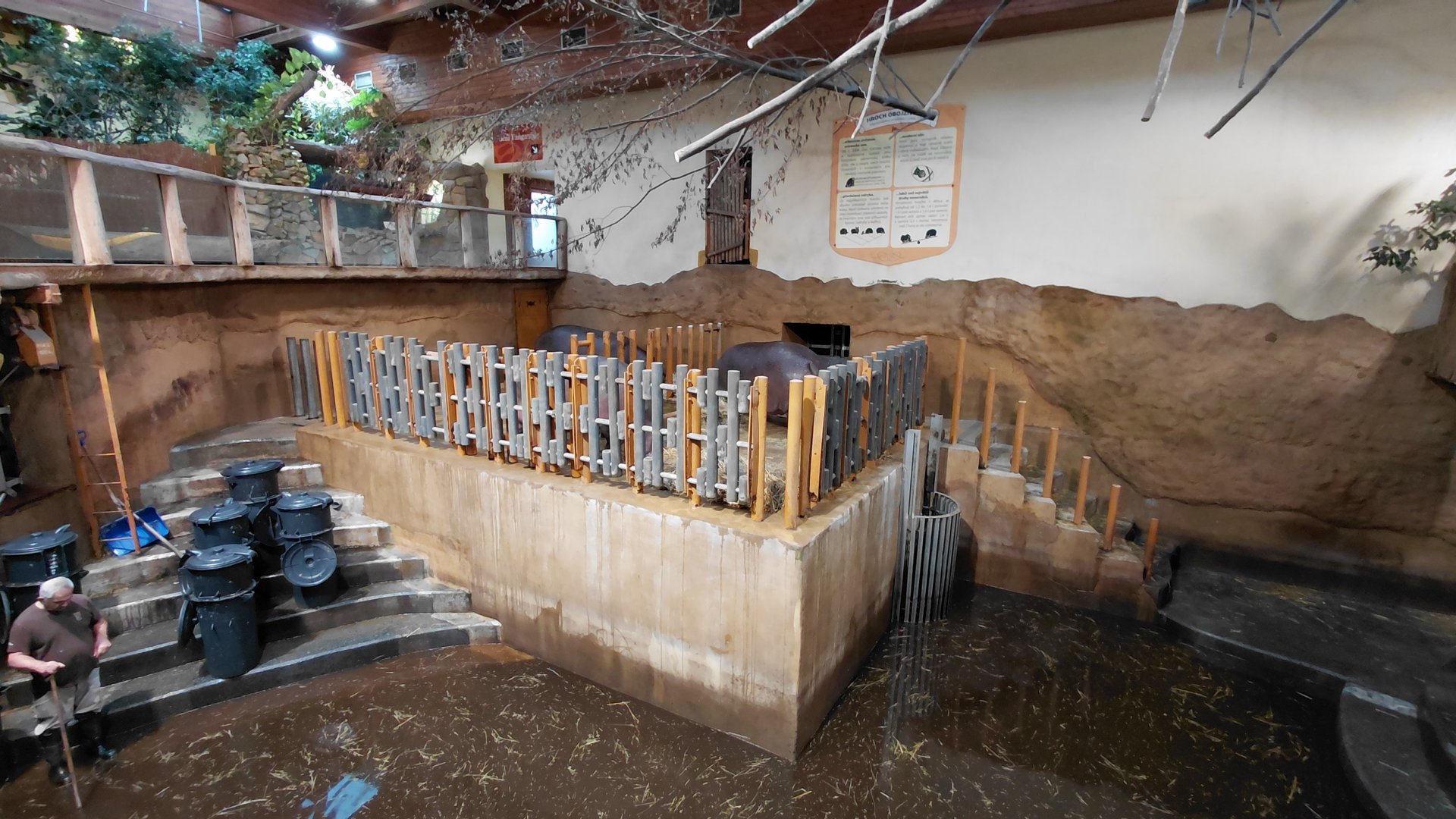 Hippo indoor exhibit