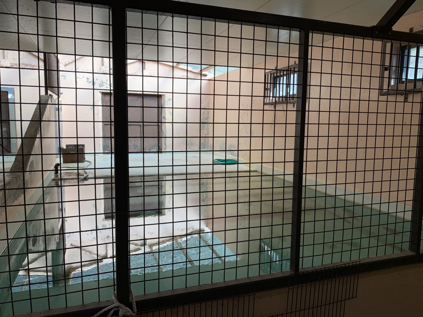 Hippo Indoor Pool (Himeji City Zoo)
