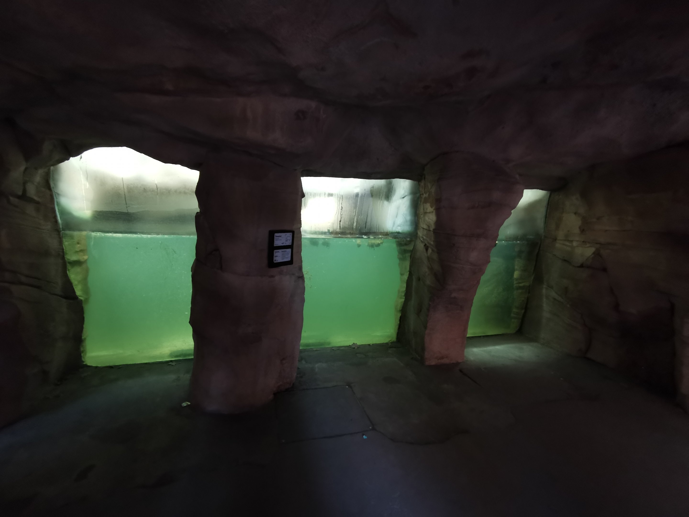 Hippo indoors - "Afrika Sambesi"