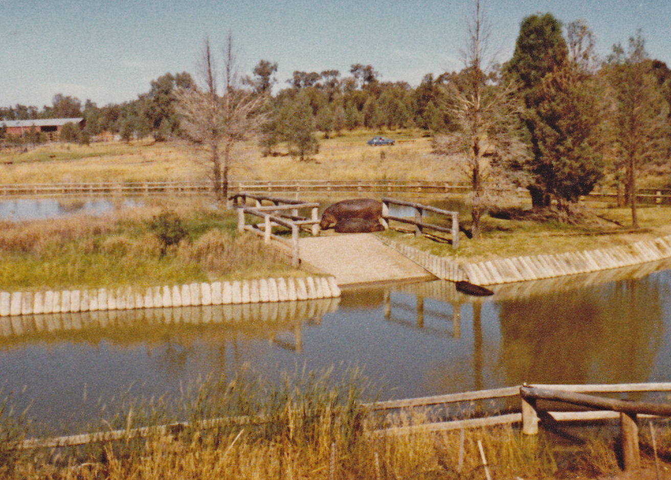 Hippo Island and pond - 1980