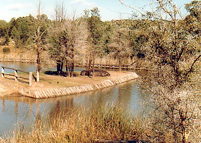 Hippo Island  @ Western plains  Zoo 1970s