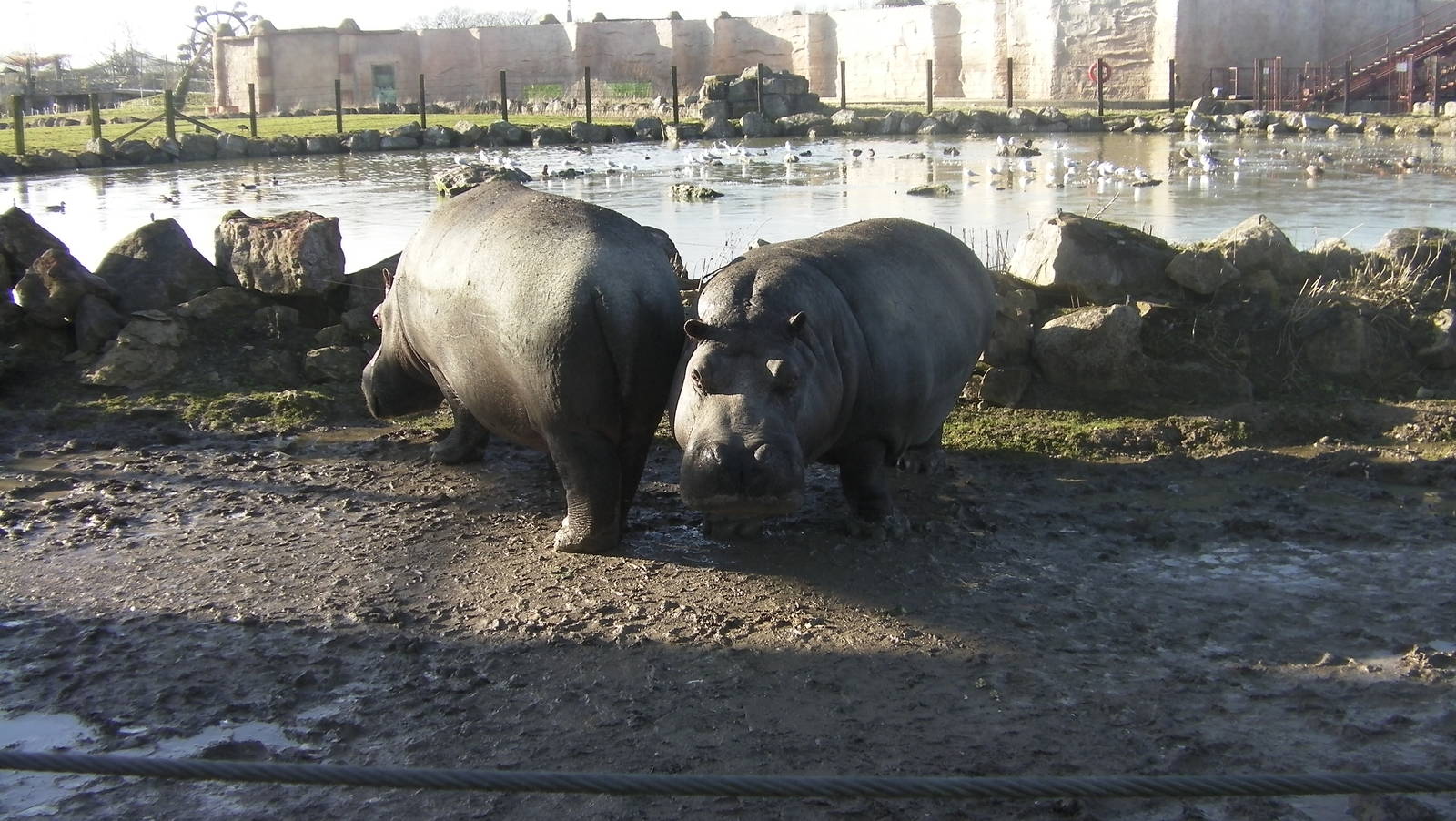 Hippo Lake - 09.02.2013