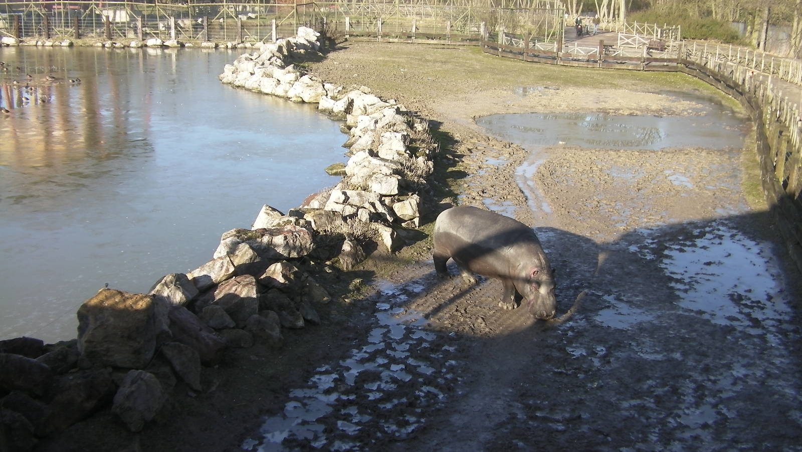 Hippo Lake - 09.02.2013