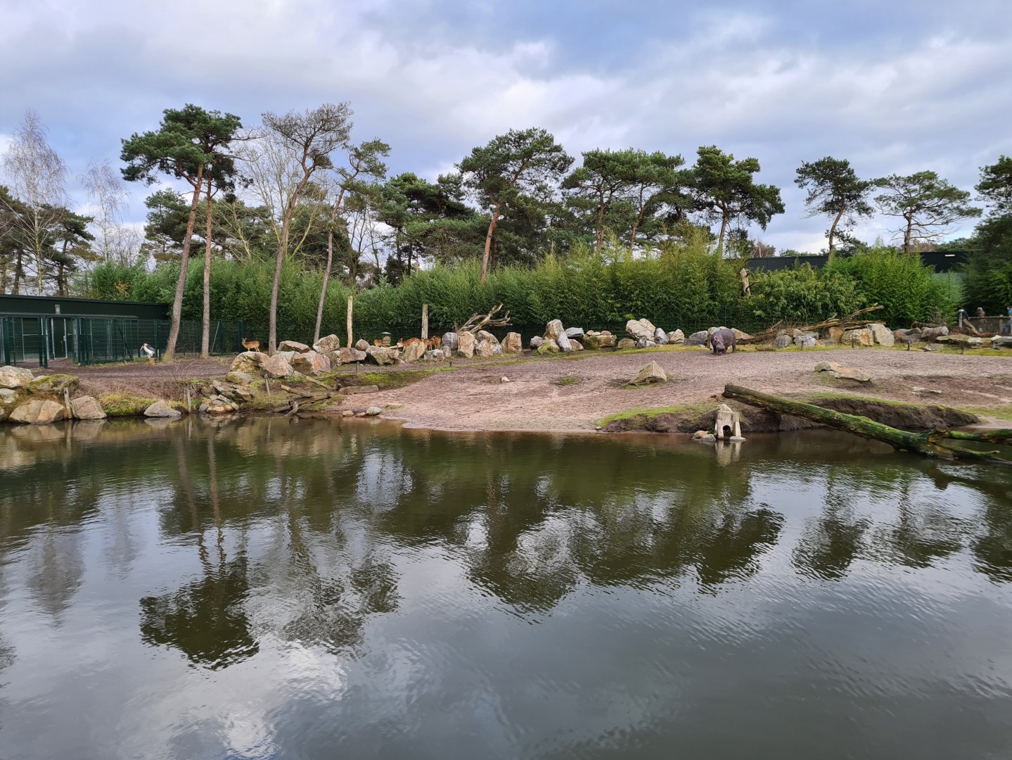 Hippo lake - front view