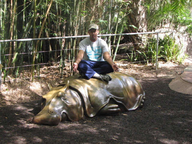 Hippo meditation