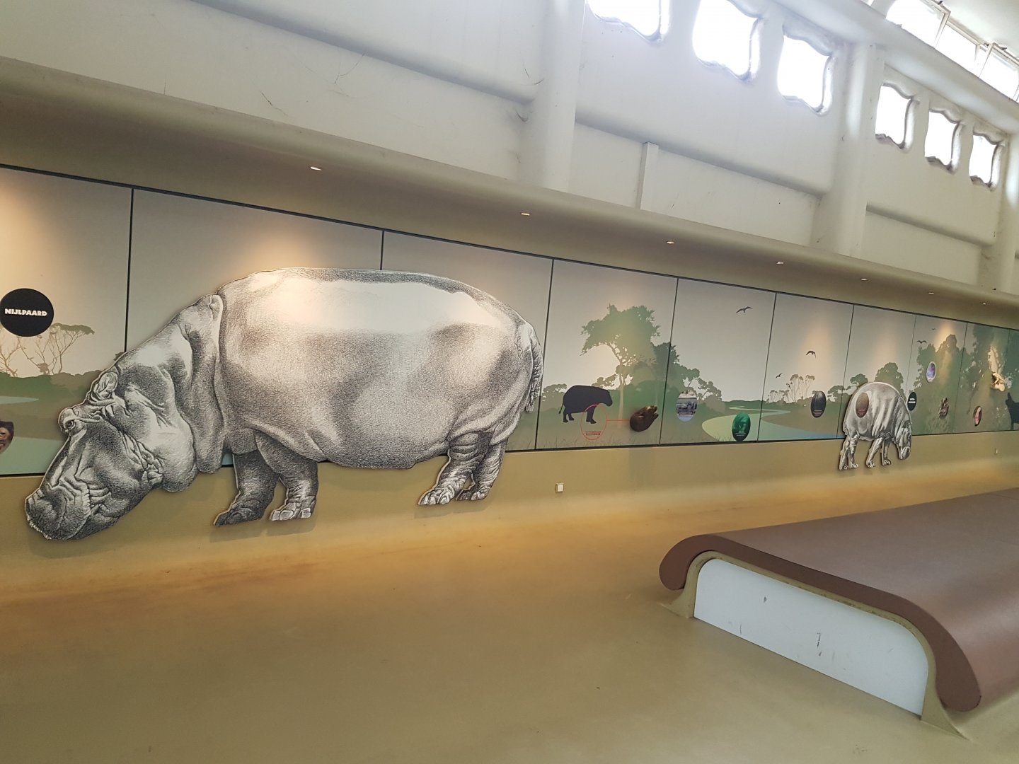 Hippo mural near the Pygmy hippo indoor enclosure