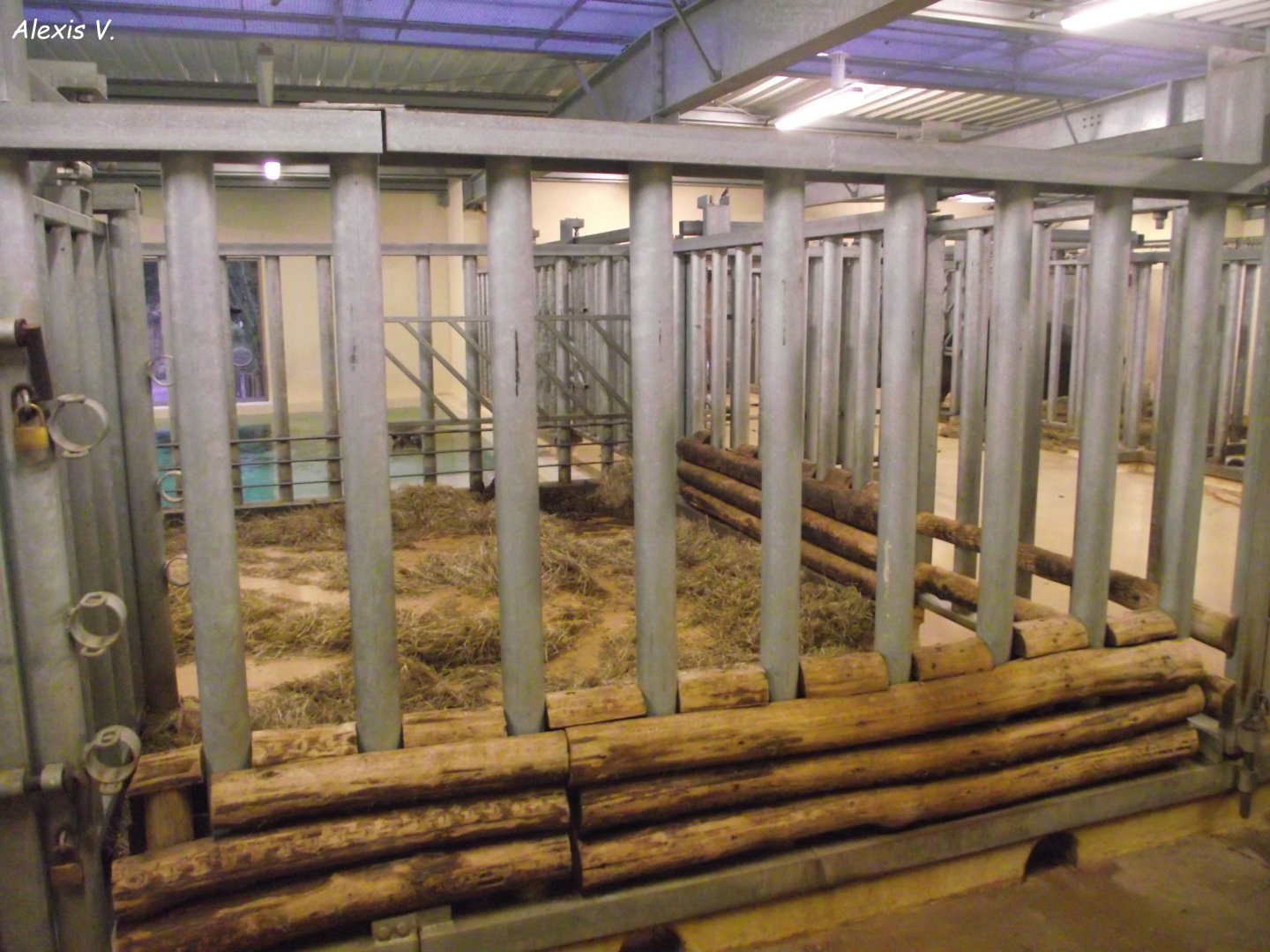 Hippo night quarters - Zooparc de Beauval - 01/2022