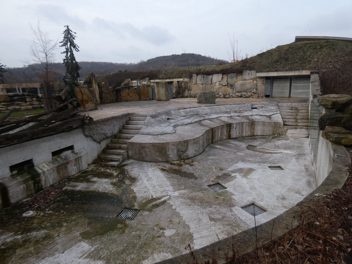 Hippo outdoor enclosure with empty pool