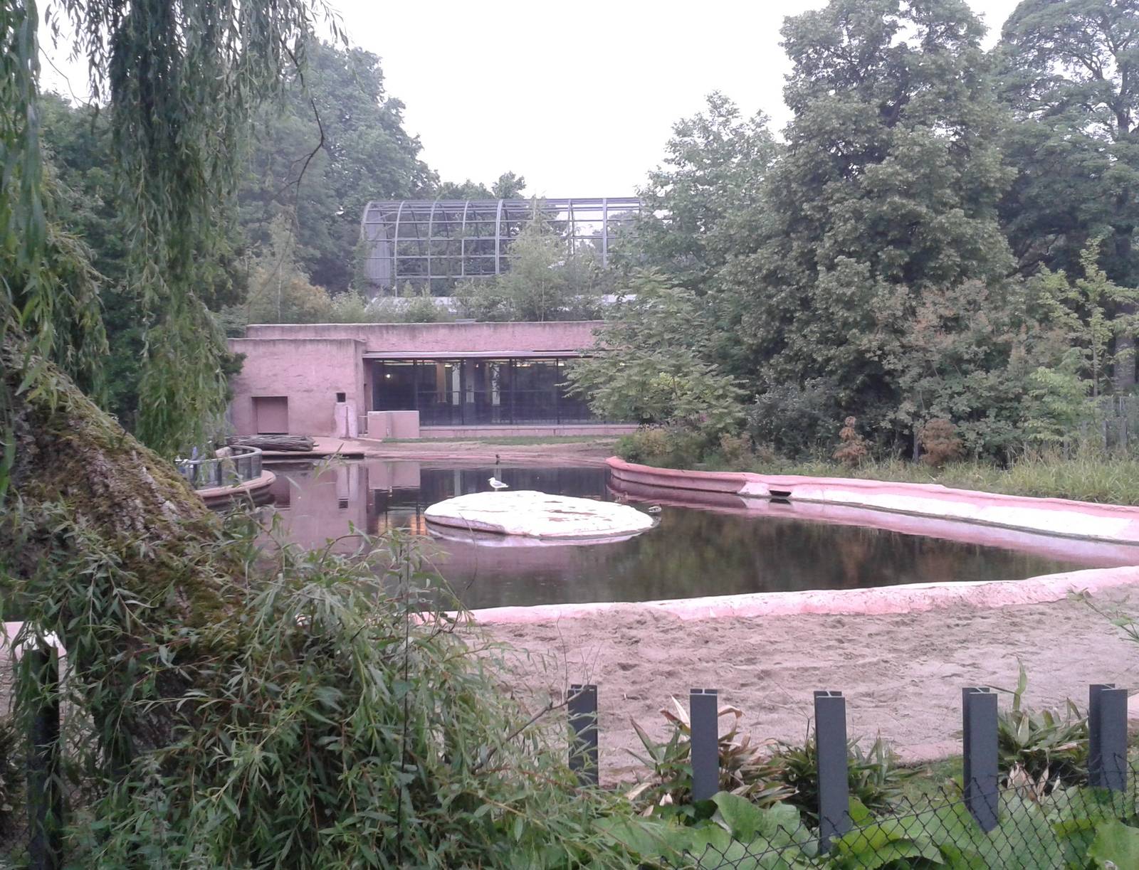 Hippo outdoor-enclosure