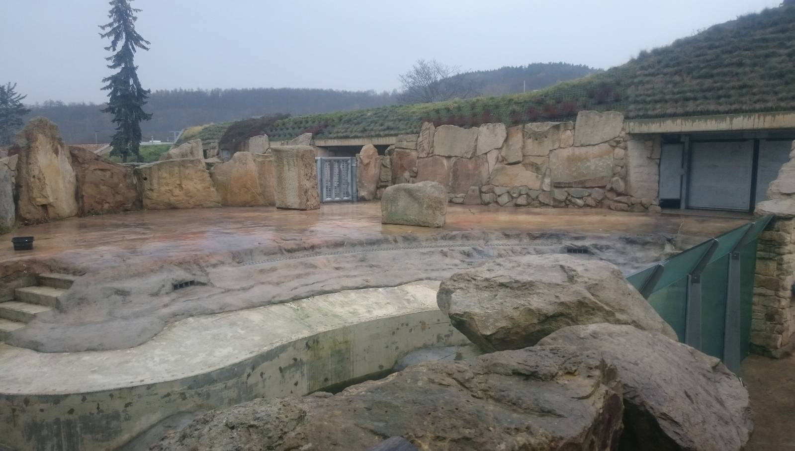 Hippo outdoor enclosure