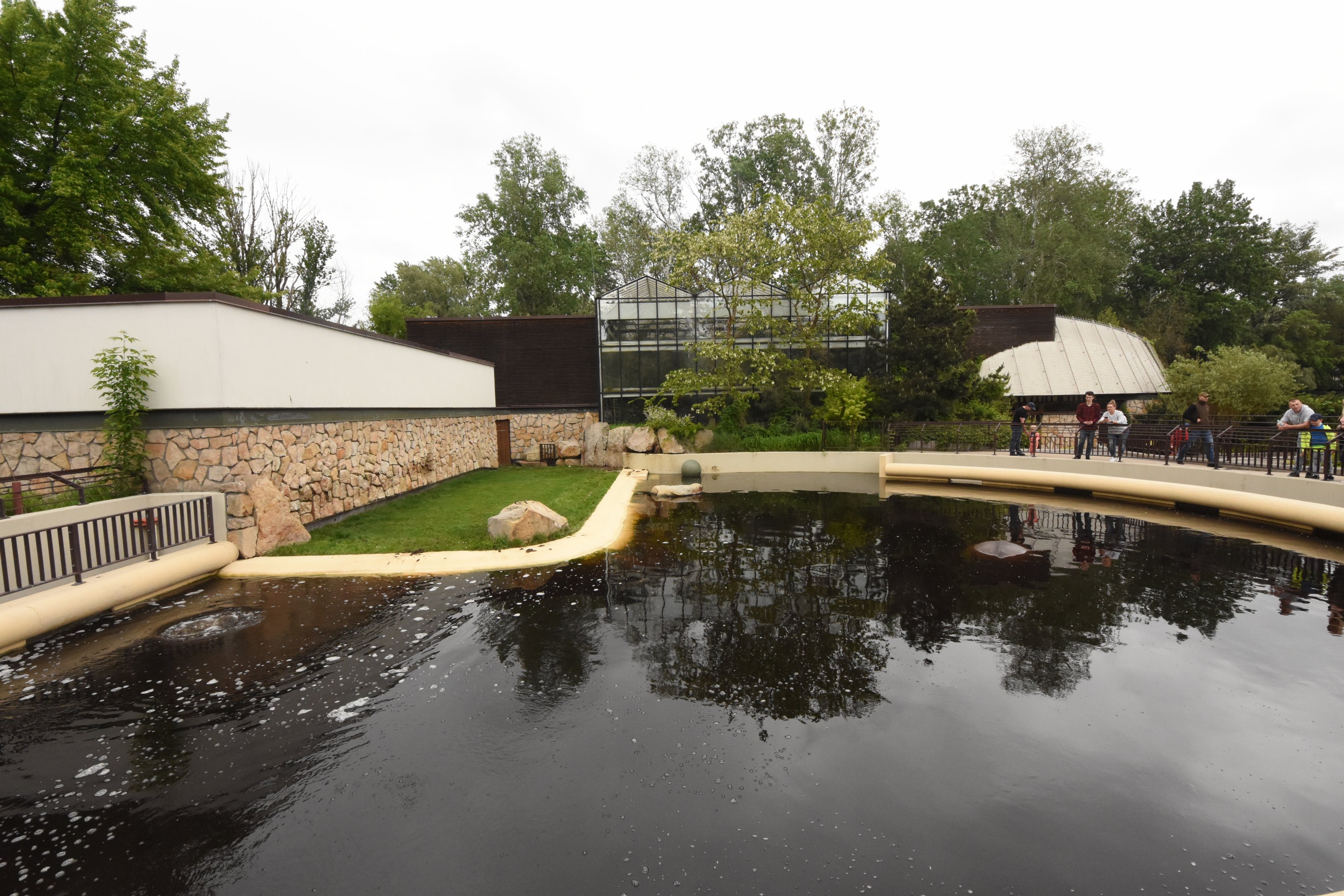 Hippo outdoor enclosure