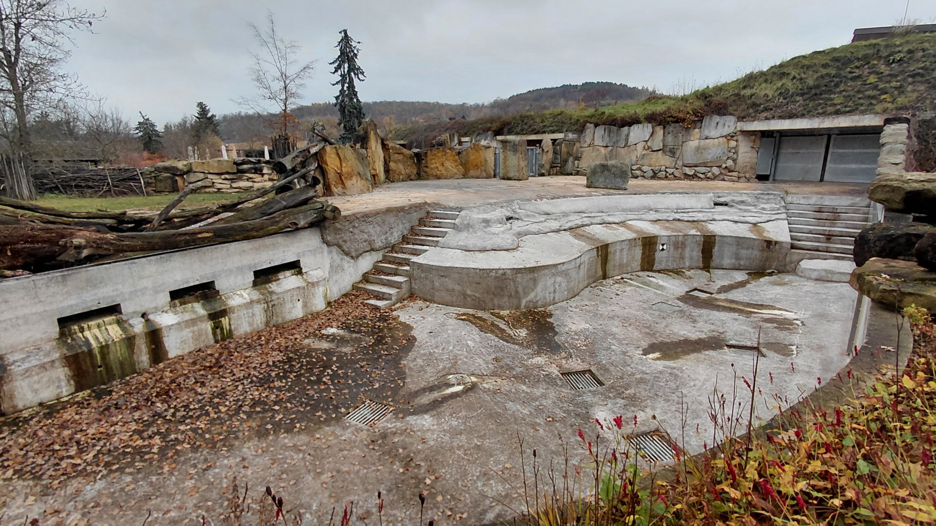 Hippo outdoor exhibit