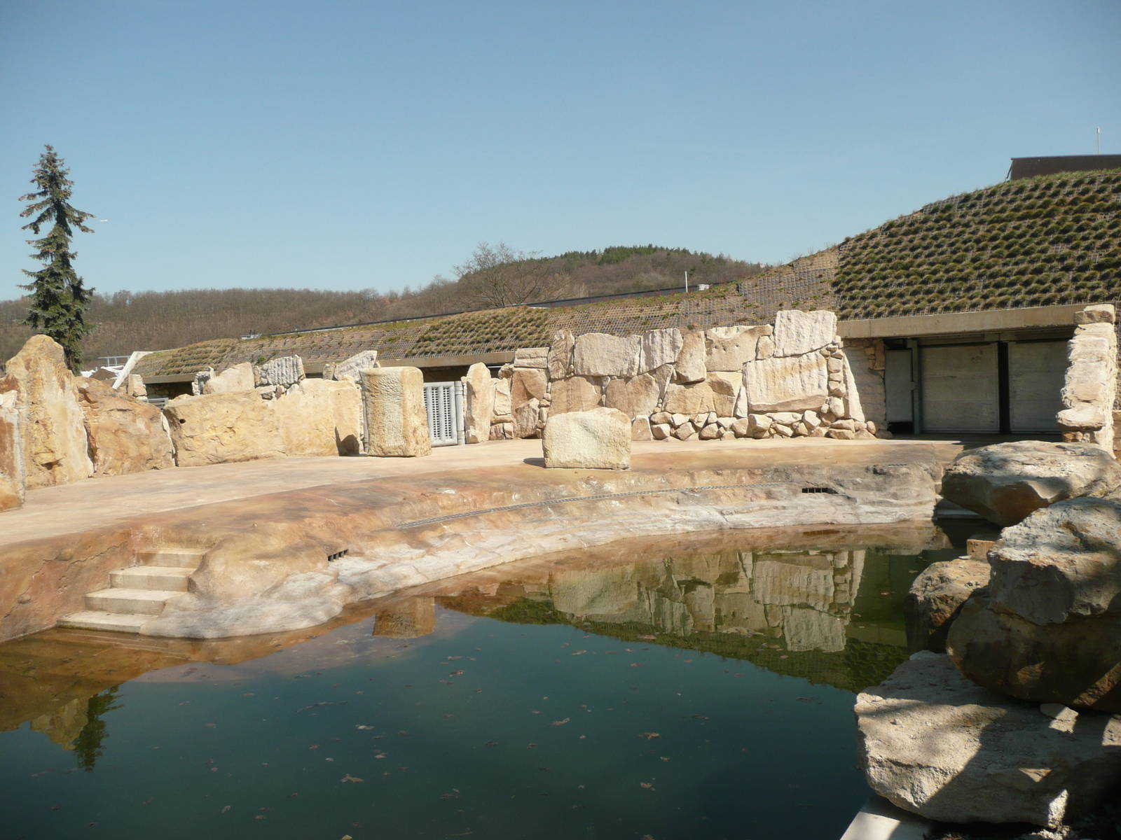 Hippo outdoor pool and yard