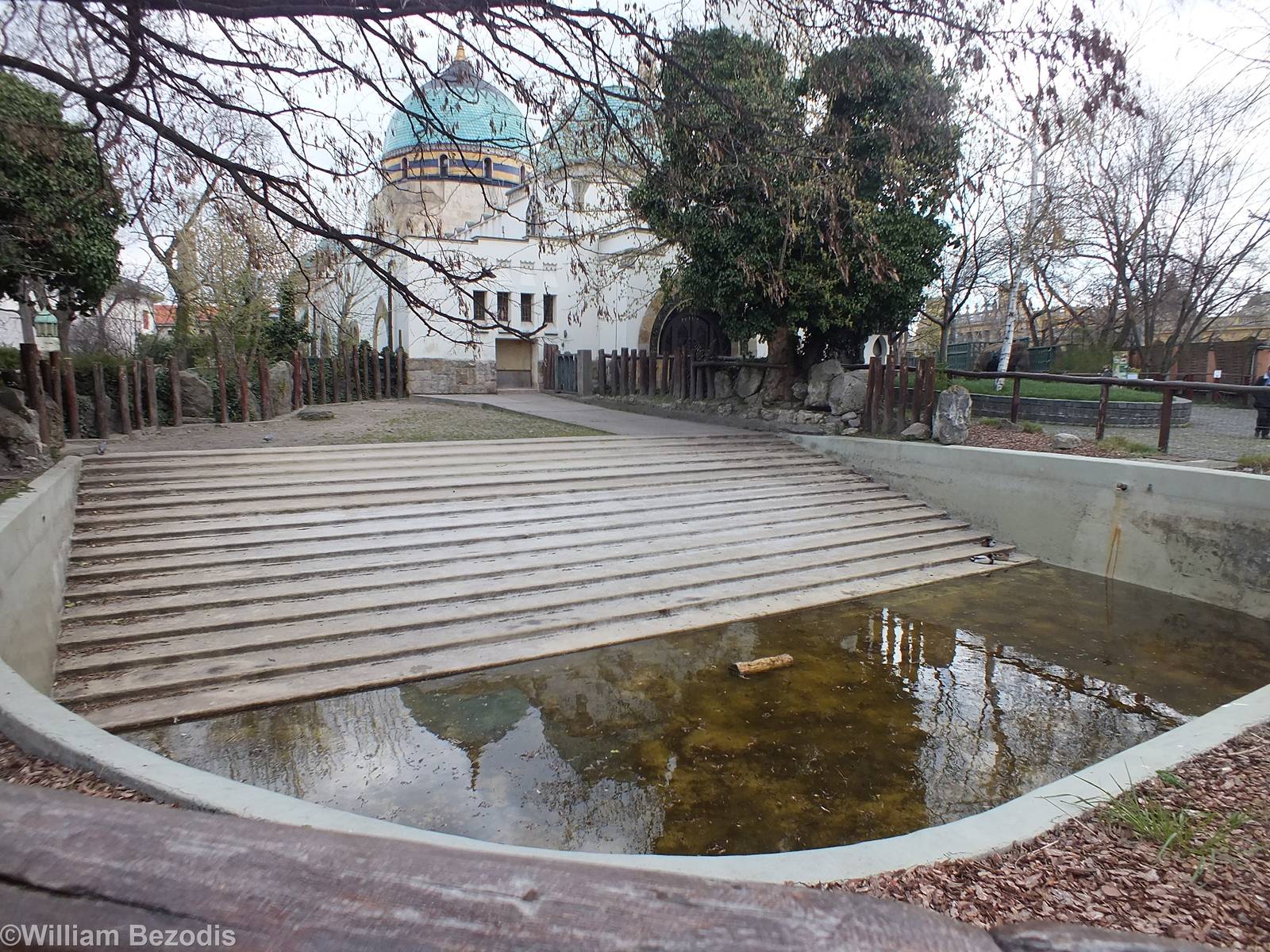 Hippo Outdoor Pool - That's it!