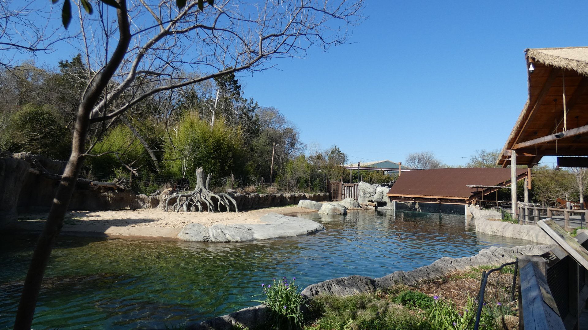 Hippo Outpost, Wilds of Africa - Mar. 2022