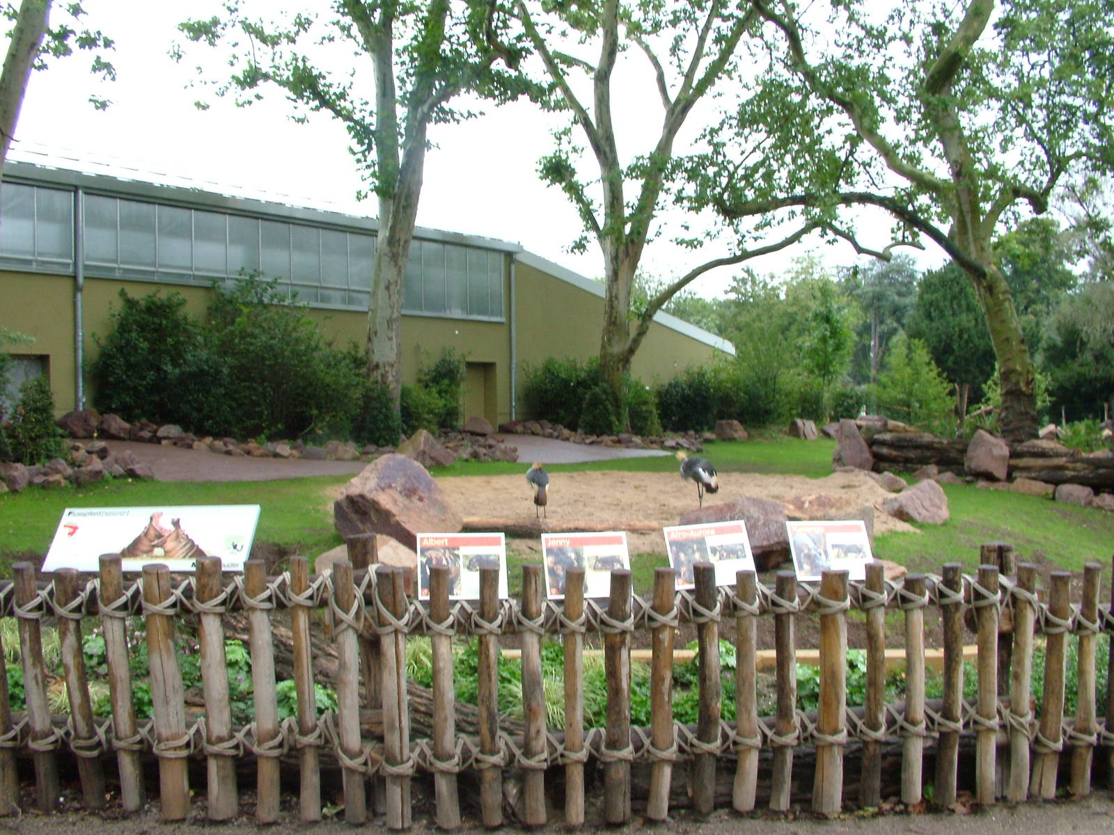 Hippo Paddock at Cologne, 07/09/10