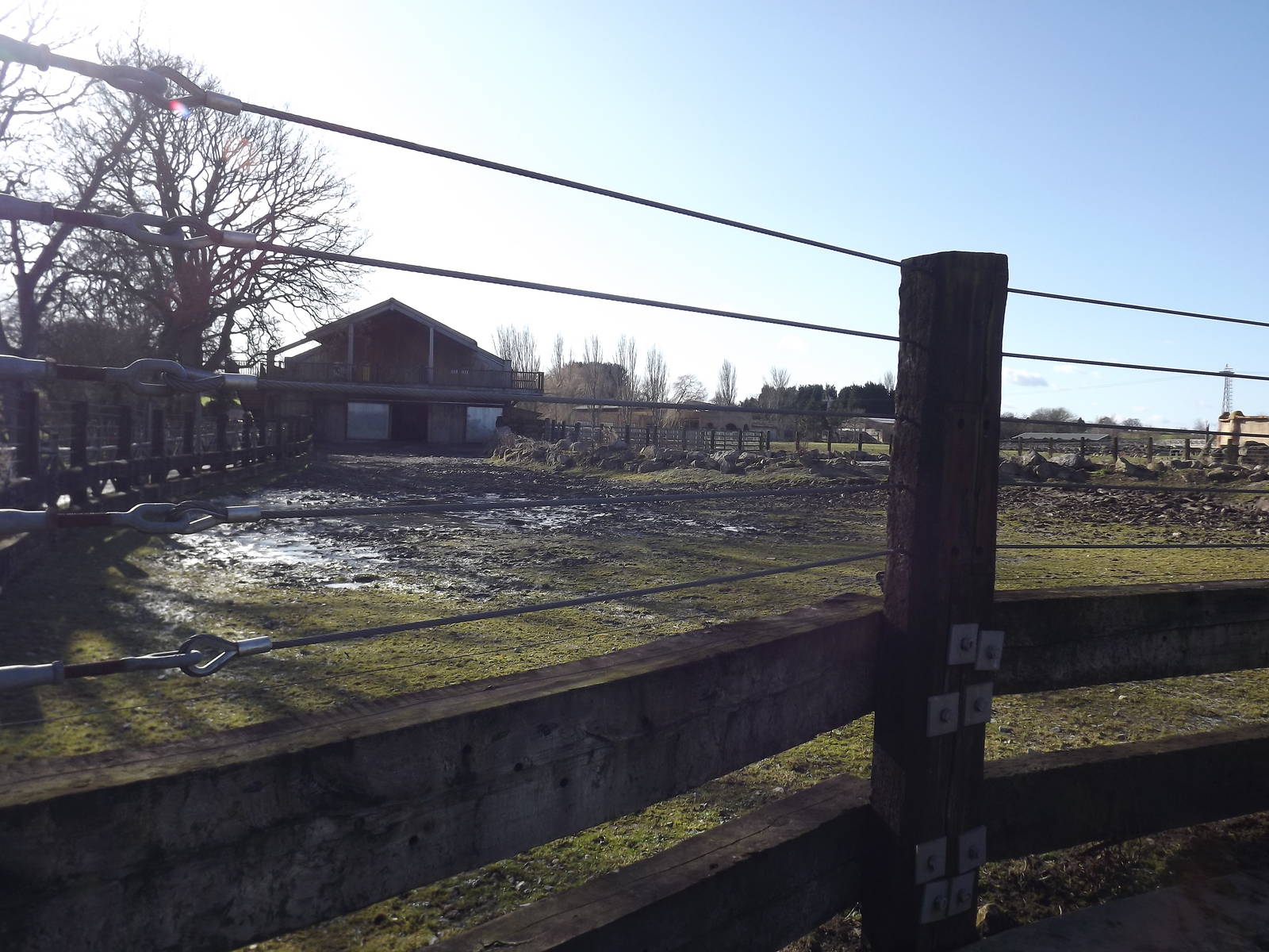 Hippo paddock at Flamingoland 19/02/12