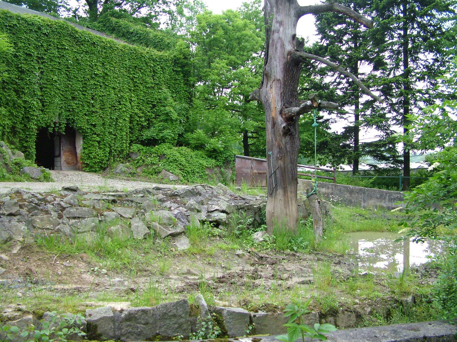 Hippo paddock at Ostrava, 29/05/10