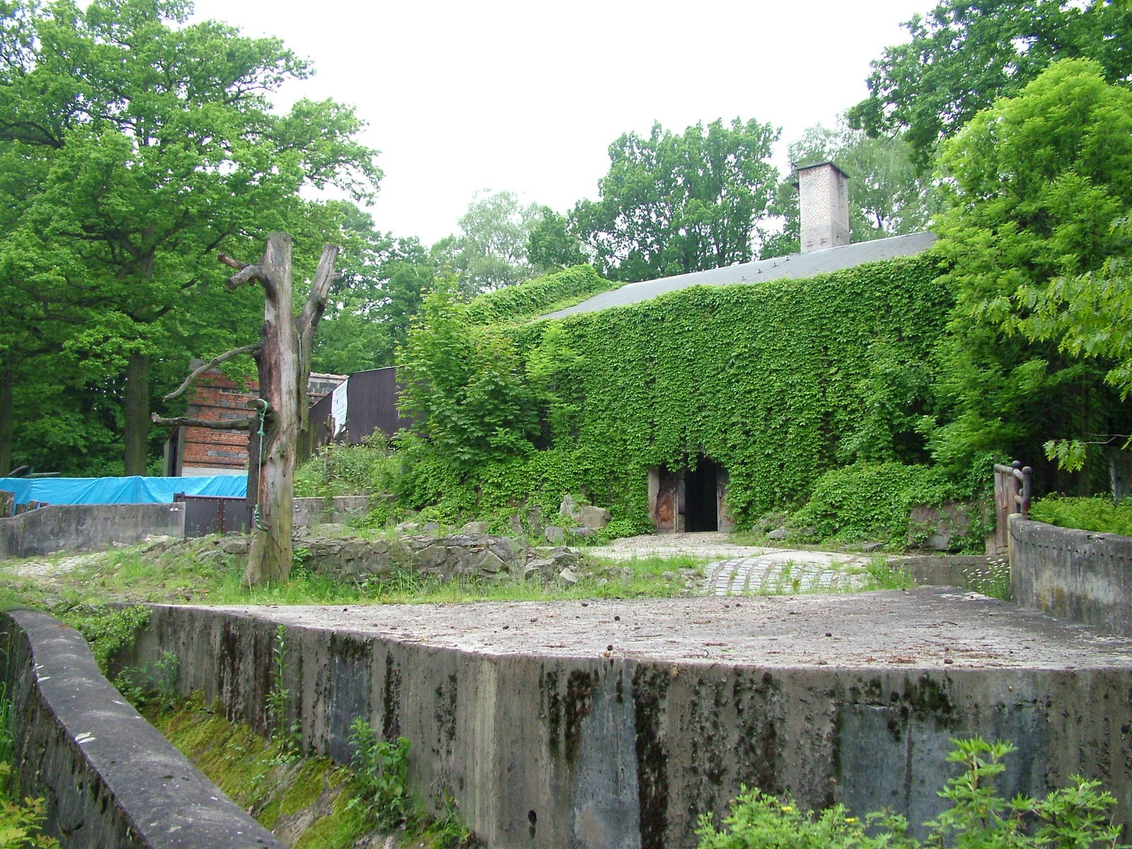 Hippo paddock at Ostrava, 29/05/10