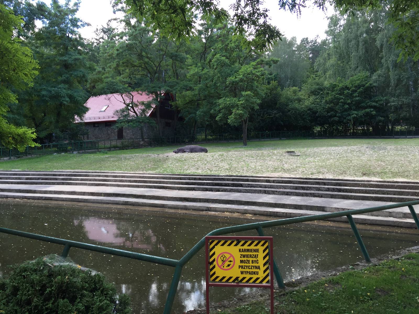 Hippo paddock - Zoo Gdansk 20.07.16.